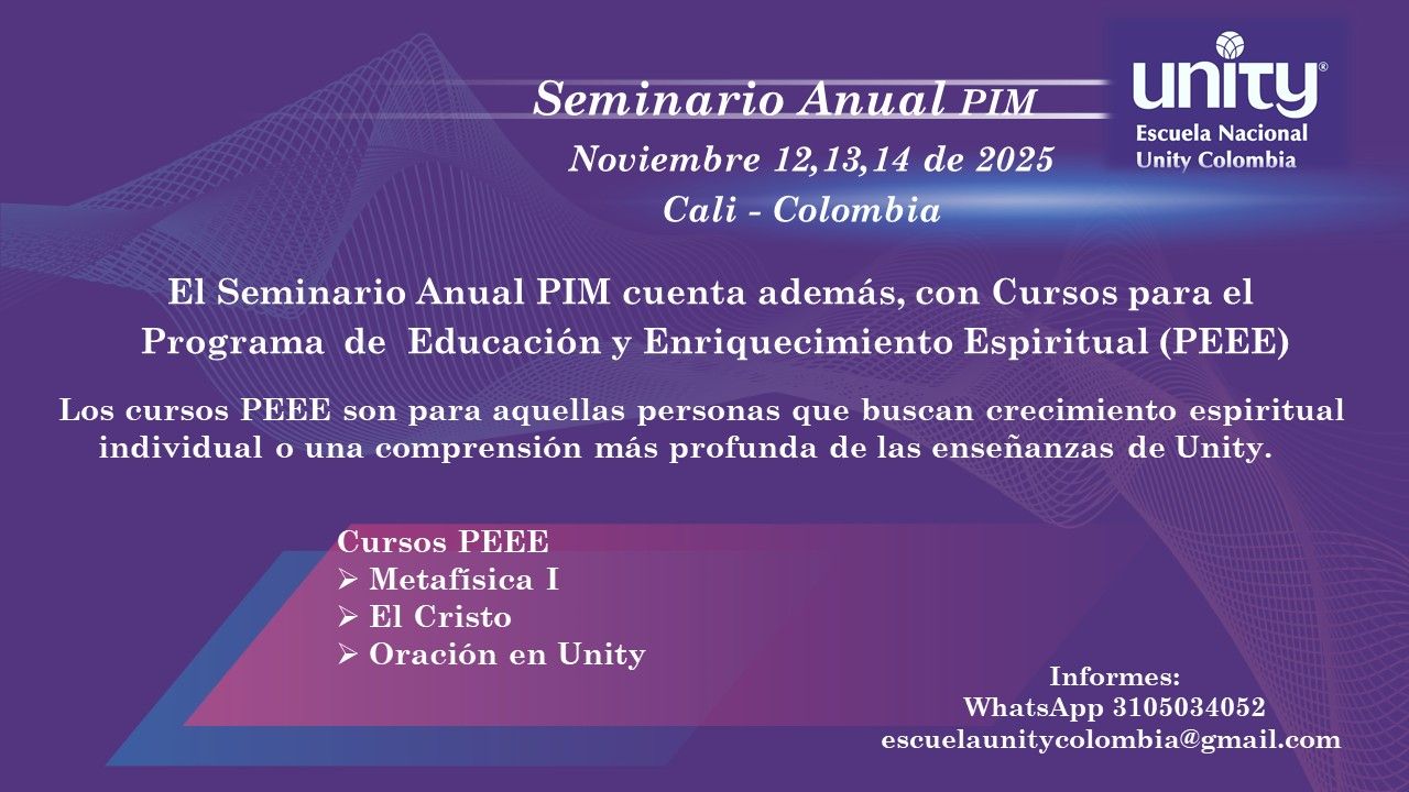 SEMINARIO PIM 2025 1